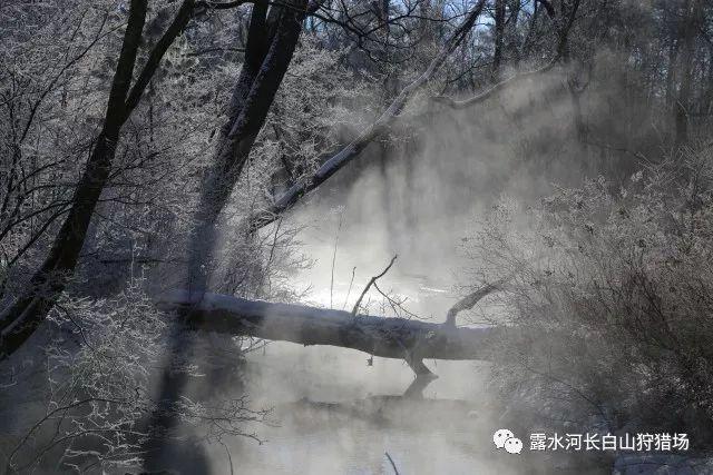 洋葱持续跌价；缅甸玉米主产区农户买不起种子；鹰嘴豆长势良好