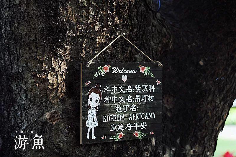 探索问题,寻找答案 | 如果一段感情让自己觉得很累还要继续吗?问答网站
