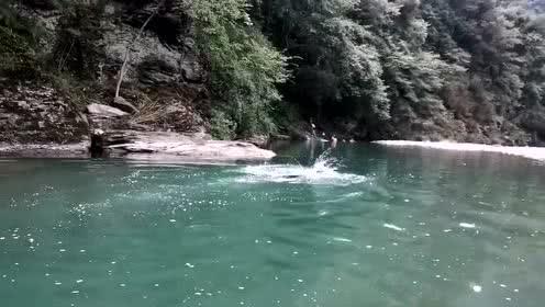 拯救机灵鸟