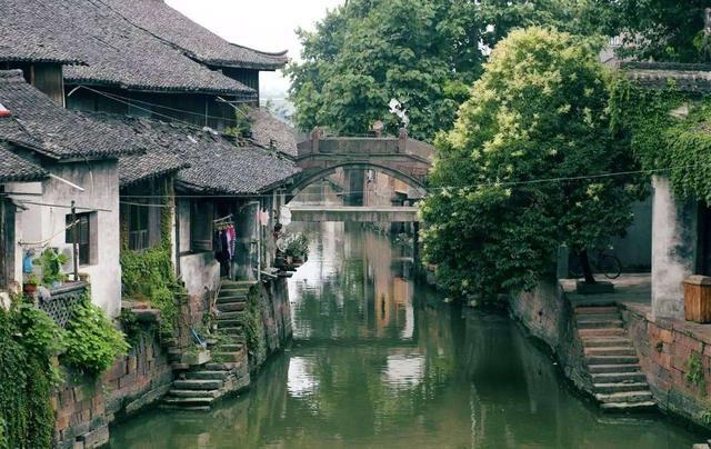 三台 梅花俏枝头撬动“花经济”