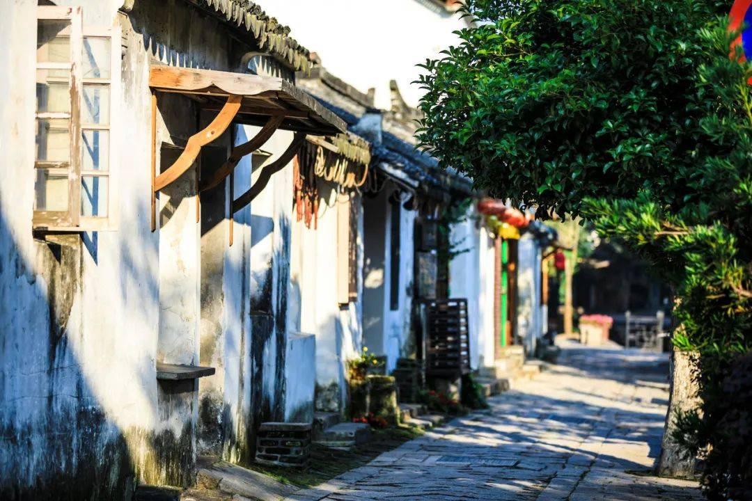 还有谁？周琦原地扣篮太霸气，一挑三根本拦不住，天津球员看呆了